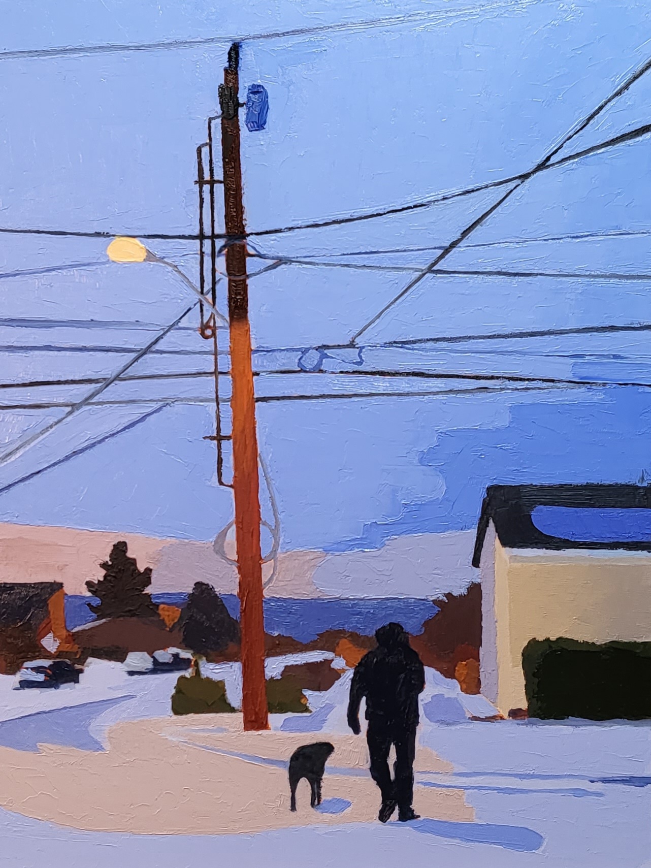 a silhouetted figure walking a dog on snow covered streets at dusk with a street light and telephone wires crisscrossing the sky
