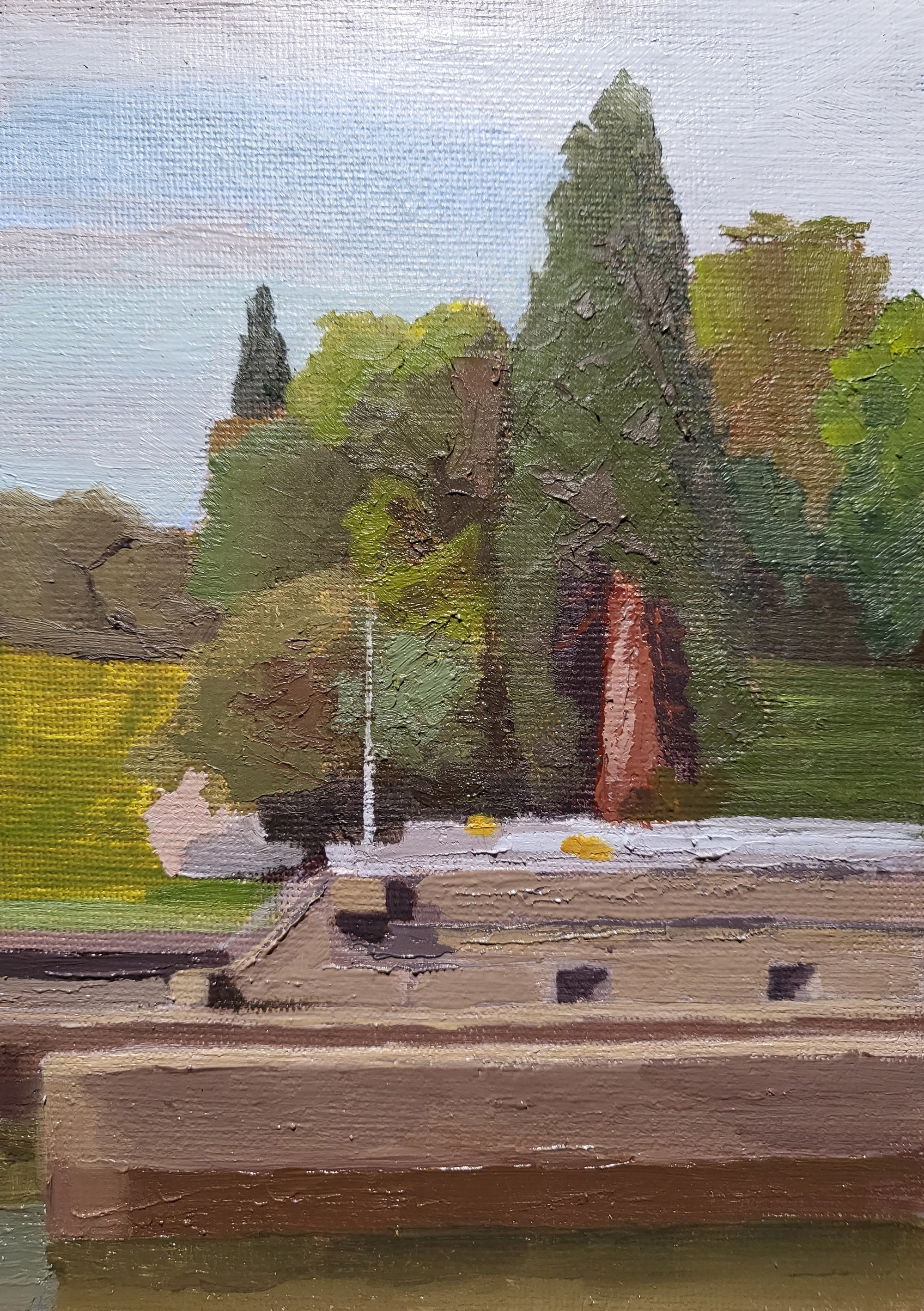 a giant Sequoia tree nestled amongst other trees behind the canal locks