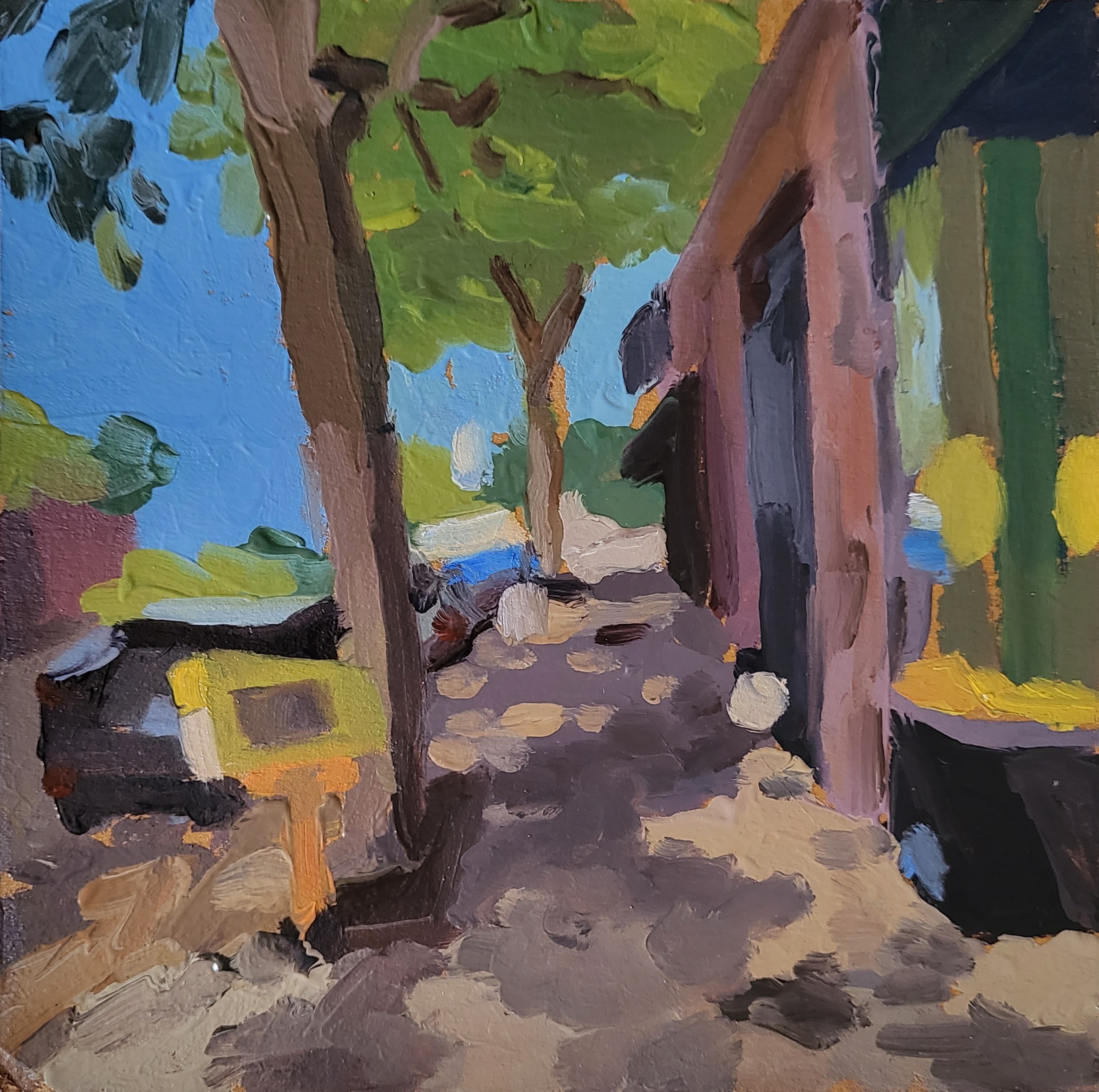 dappled light on tree-lined sidewalk