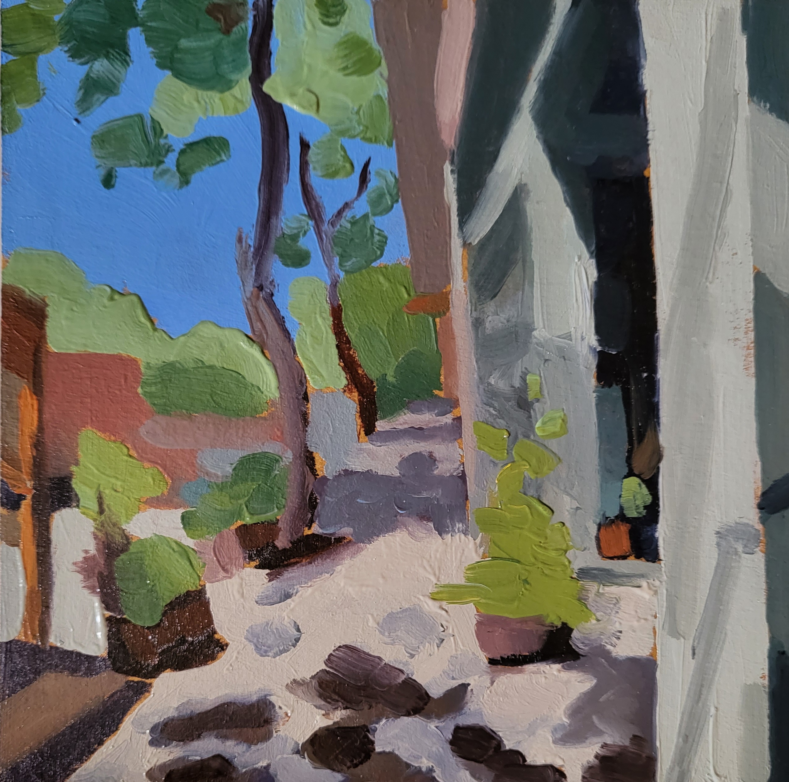 dappled light on sidewalk with planters